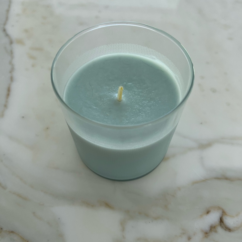 NEST SPRIG BLUE HYDRANGEA CANDLE NIB!